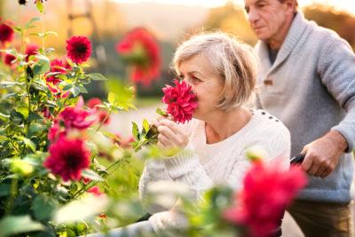 iStock-872331680